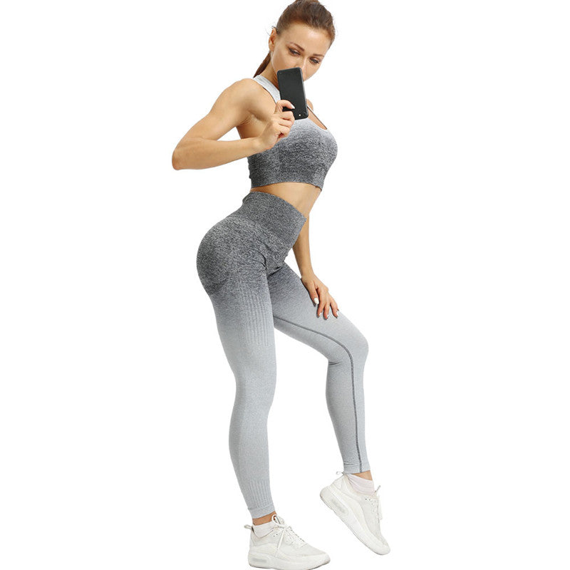 GR YL013High Quality 2 Pcs Gym Set